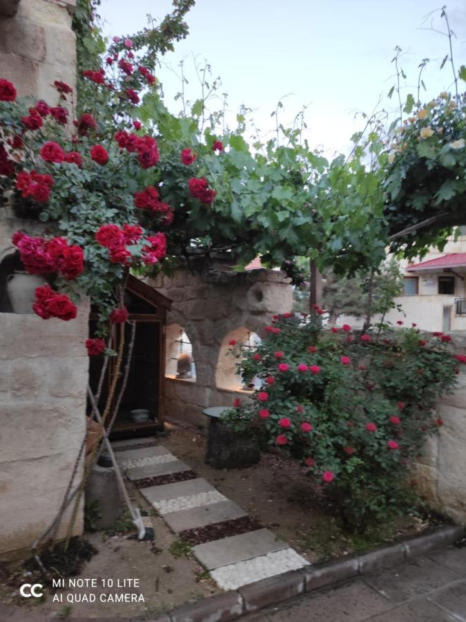 Kayhan Cave Villa 于尔居普 外观 照片